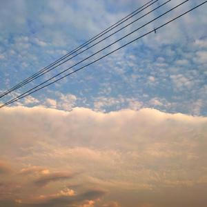 淑女隐忍憋尿by白夜飞行
